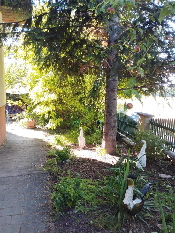 B&B Family Basement Apartment, Breakfast, Free Parking, 5Km From Tulln Chorherrn Kültér fotó