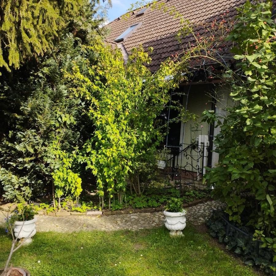 B&B Family Basement Apartment, Breakfast, Free Parking, 5Km From Tulln Chorherrn Kültér fotó