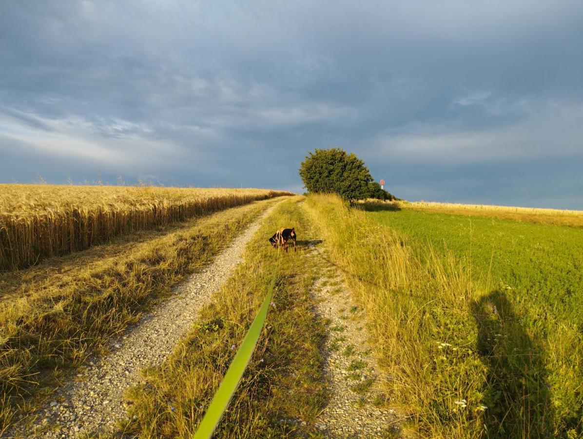 B&B Family Basement Apartment, Breakfast, Free Parking, 5Km From Tulln Chorherrn Kültér fotó